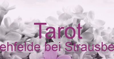 Tarot Rehfelde bei Strausberg | Top-Experten für Kartenlegen, Wahrsagen, Hellsehen, Zukunftsdeutung. Tarot Rehfelde bei Strausberg | Top-Experten für Kartenlegen, Wahrsagen, Hellsehen, Zukunftsdeutung.
